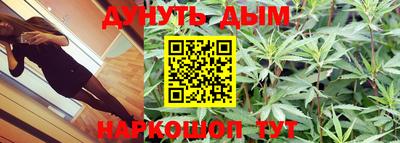сатива Кумертау