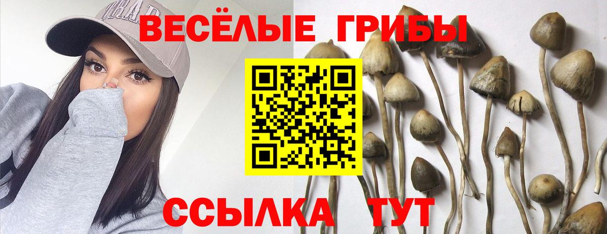 Урай  Псилоцибиновые грибы Magic Shrooms  Псилоцибиновые грибы ЛСД  Вход с VPN 